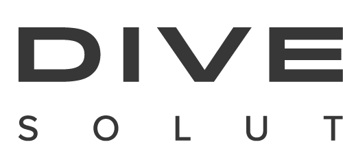 DiverseSolutions-logo1